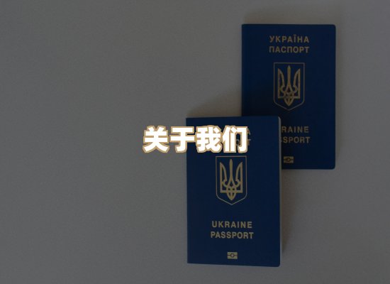 关于紫星资质排版网
